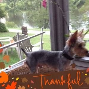 Meet your Posher, Mae